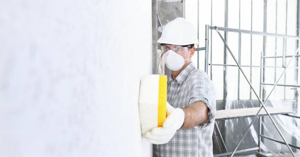 Holiday City South, NJ Mold Removal Company