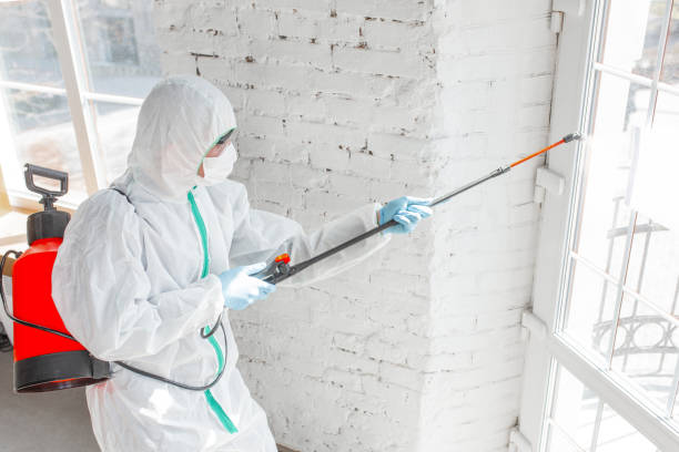 Best Mold Odor Removal Services in Holiday City South, NJ